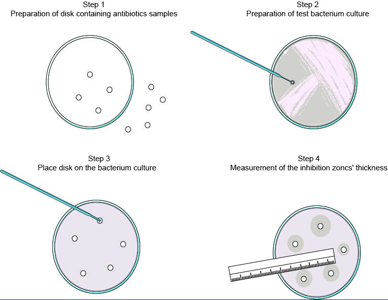 Antimicrobial Susceptibility Testing Creative Diagnostics